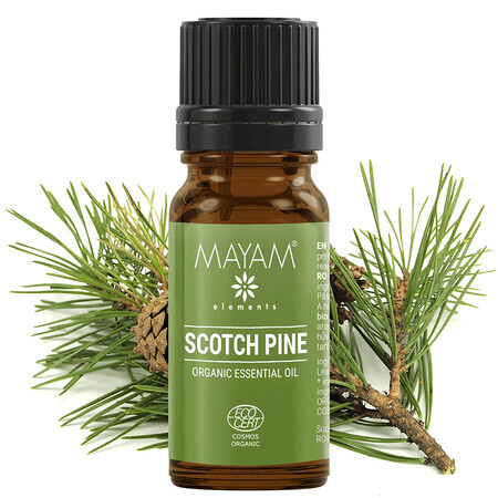 Olio essenziale di pino silvestre bio M-1160, 10 ml, Mayam