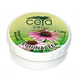 Unguento con echinacea, 20 g, Ceta Sibiu