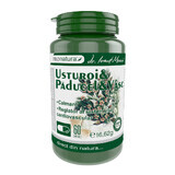 Garlic Paducel and Vasc, 60 capsules, Pro Natura