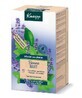 Tisana Kneipp calmante con melis, 20 bustine