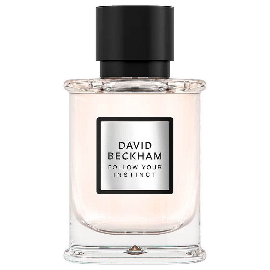 David Beckham Segui il tuo istinto, Eau de parfum, 50ml