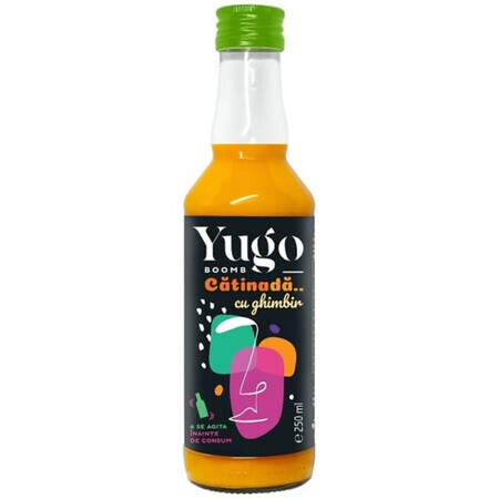 Yugo Boomb Catinada Succo di erba gatta biologico con zenzero, 250 ml, Elgeka