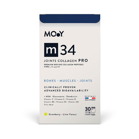 Kollagen PRO bovin PRO Rindergelenke, Erdbeer-, Zitronen- und Minzgeschmack m34, 390 g, Molecules of Youth