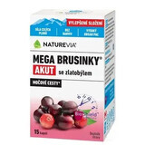 SWISS NATUREVIA MEGA CRANBERRY MEGA CRANBERRY ACUT CON GOLDENROD