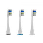 TrueLife SonicBrush UV Sensitive SonicBrush UV Sensitive 3 pcs.