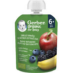 Gerber Bio Appel, Banaan, Bosbes en Braam Zakje 100% Biologisch 6m+ 16 x 90 g