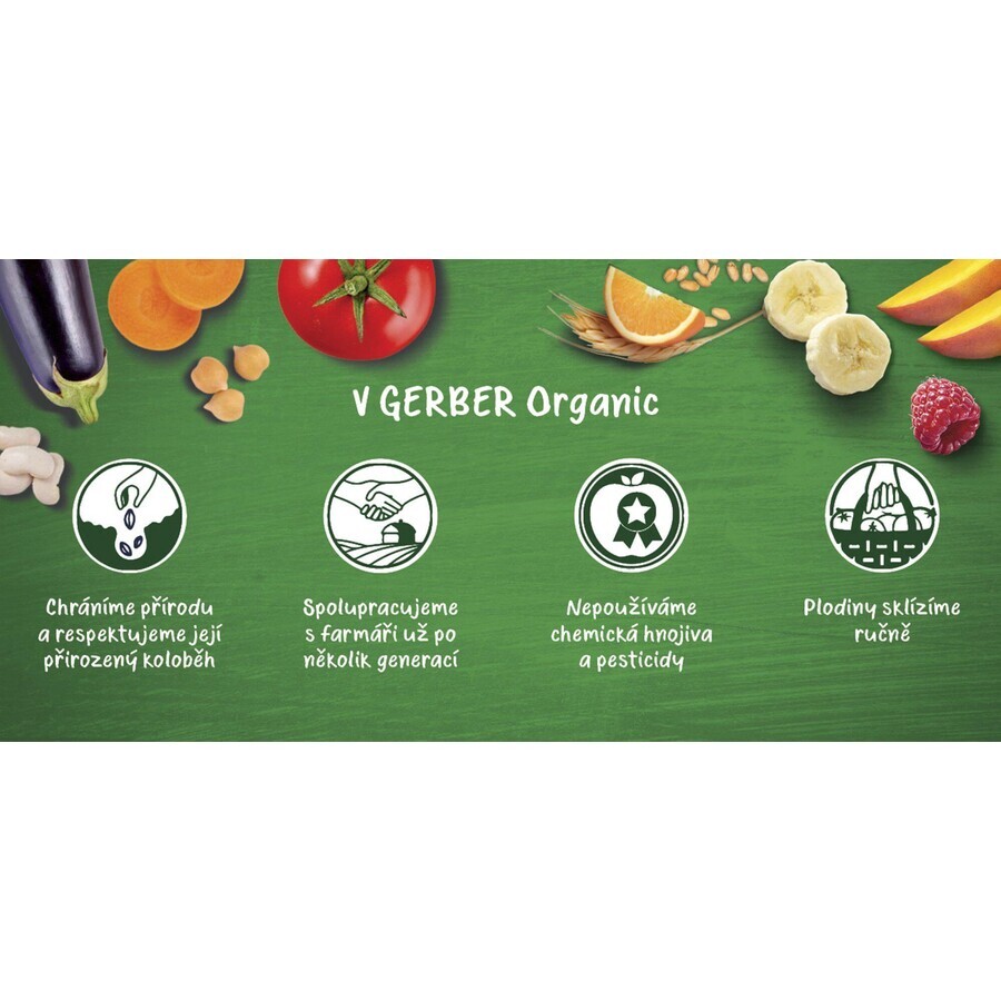 Gerber Bio Appel, Banaan, Bosbes en Braam Zakje 100% Biologisch 6m+ 16 x 90 g