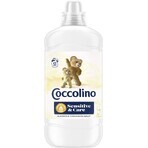 Coccolino Sensitive pure Alm & Cash balsamo per il bucato 1,27 l