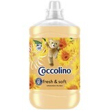 Coccolino Orange rush balsamo per bucato 1,7 l