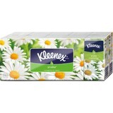 Kleenex ® Hanks Family assorbenti igienici - Camomilla 10 pz.