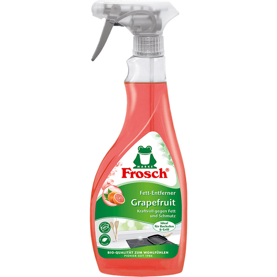 Frosch ECO Sgrassatore per cucina 500 ml