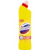 Domestos Extended Power Agrumi 750 ml