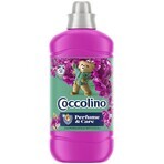 Coccolino Snapdragon Balsamo per bucato 1,27 l