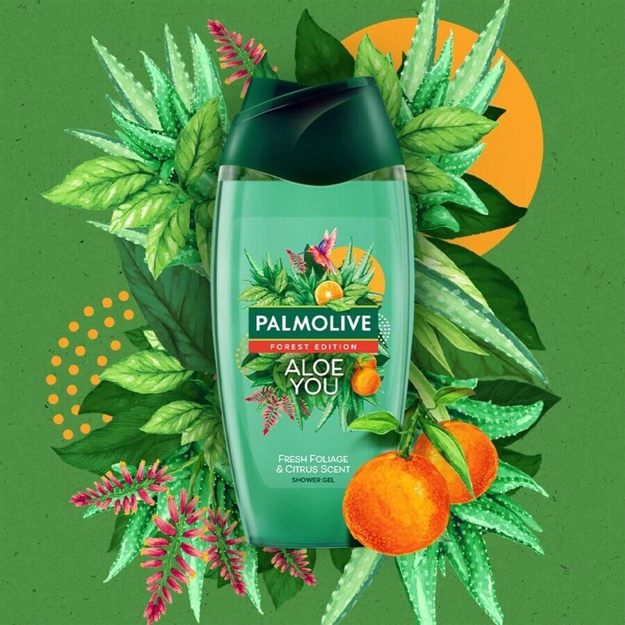 Palmolive Forest Edition Aloe You Shower Gel 500 ml