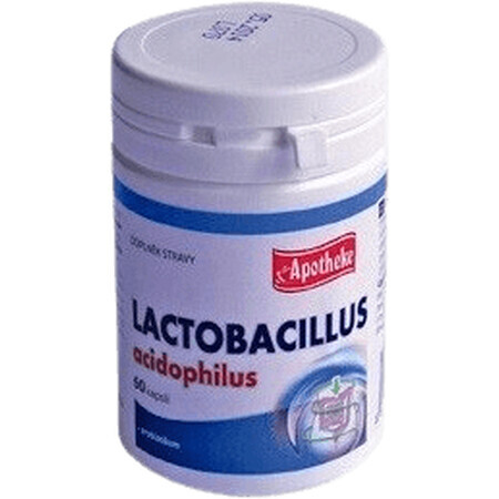 Apotheke Lactobacillus acidophilus 60 Kapseln