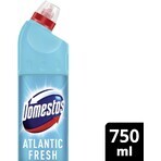 Detergente per WC Domestos Power atlantic 750 ml