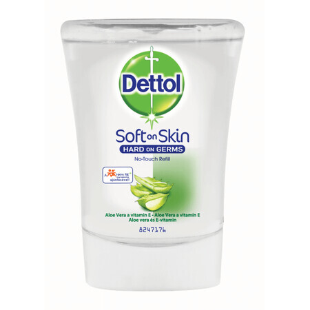 Ricarica Dettol per Aloe Vera e Vitamina E 250 ml