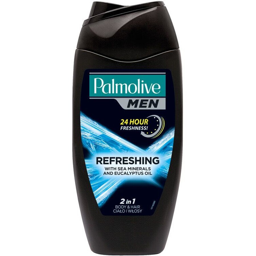 Palmolive SG MEN BLAU Reines Arct. Refr. 250 ml