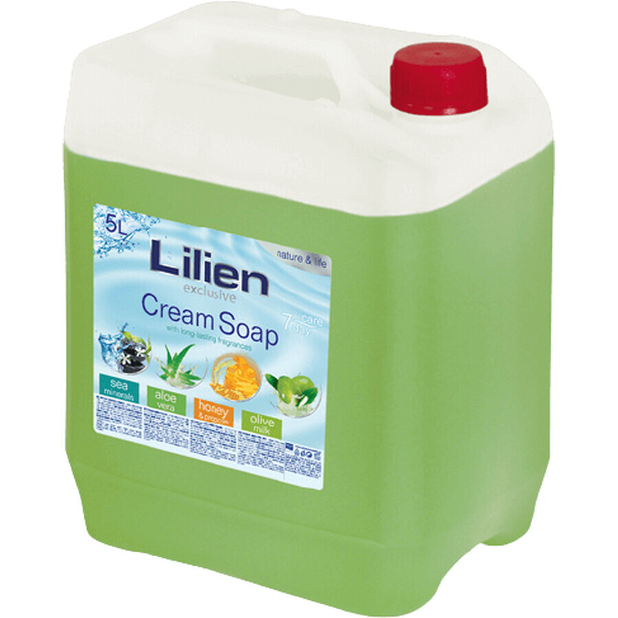 Lilien Sapone liquido cremoso all'Aloe Vera 5 l