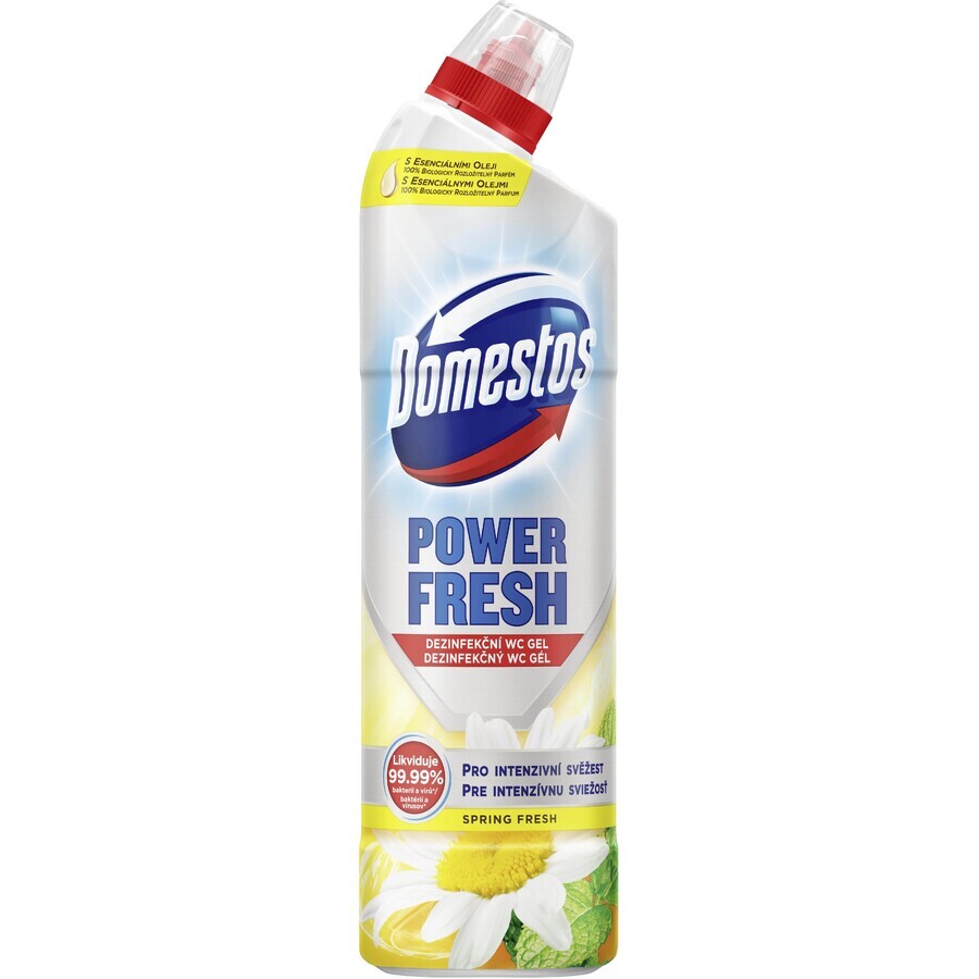 Domestos Power Fresh Spring 700ml Domestos Power Fresh Spring Gel per toilette