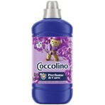 Coccolino Orchidea Viola Balsamo per tessuti 1,27 l