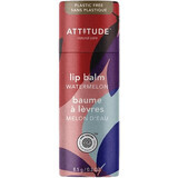 Attitude Balsamo labbra naturale al gusto di anguria 8,5 g