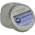 Vivapharm Balsamo labbra al latte di capra 25 g