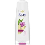 Acondicionador Dove Rosa y Aloe Vera 350 ml