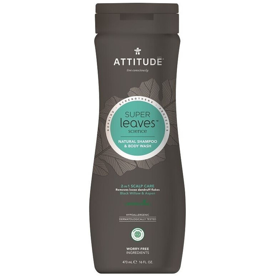 Attitude Super Leaves Entgiftendes Anti-Schuppen-Shampoo und Körperseife für Männer (2in1) 473 ml