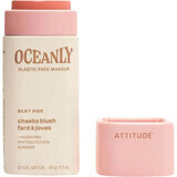 Attitude Oceanly Blush solido in crema - Rosa seta 8,5 g