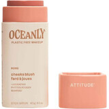 Attitude Oceanly Blush solido in crema - Rosa 8,5 g