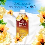 Lenor Balsamo per tessuti Orchidea 2 x 925 ml