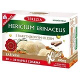 Terezia Coral Hedgehog avec 100% d'huile d'argousier 60 gélules