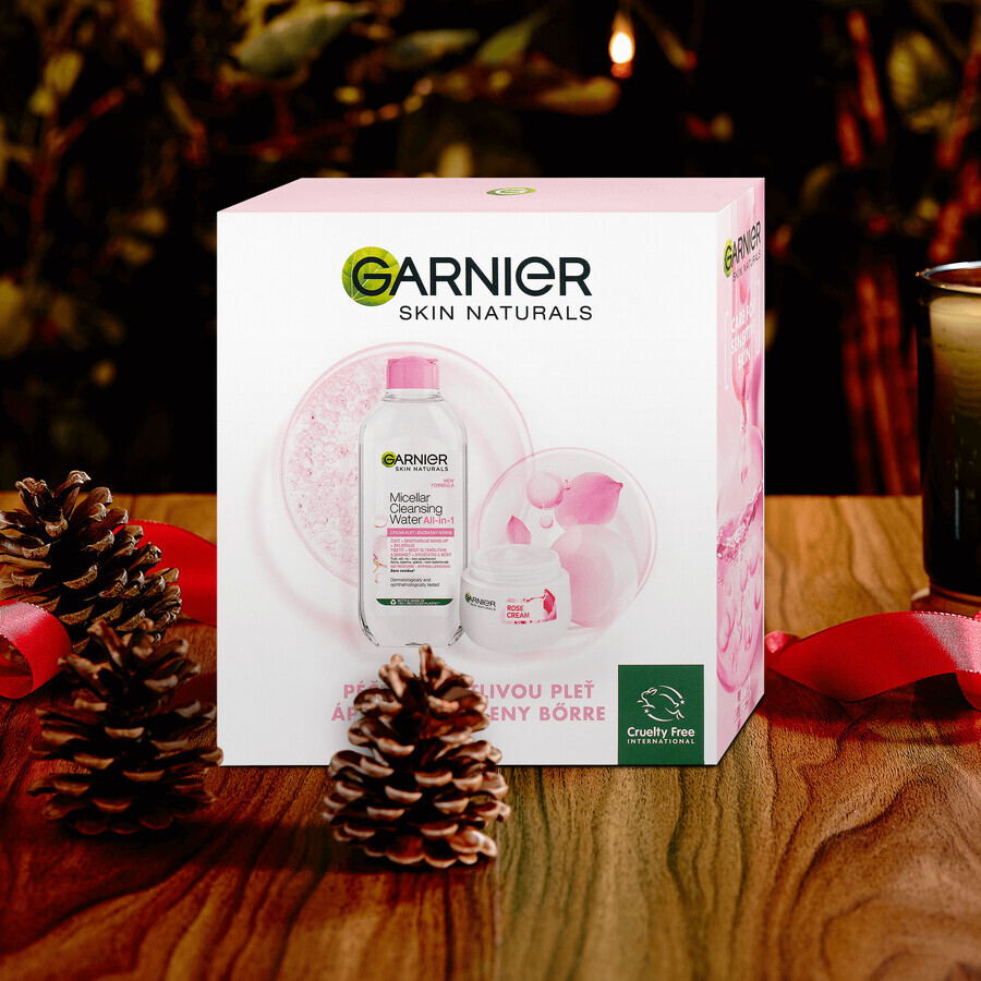 Garnier Skin Naturals Rose Pacchetto Natale 2023 - crema + acqua micellare