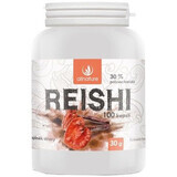 Allnature Reishi 100 capsules