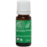 Tierra Verde Bio etherische olie Eucalyptus 10 ml