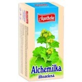 Apotheke Alchemilla tè giallo verde 20x1,5 g 20 x 1,5 g