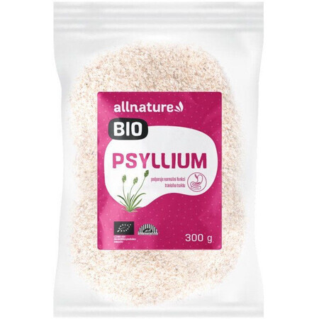 Allnature Psyllium organisch 300 g