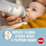 Nuk Perfect Match Soother Universal (6+ m.) 2 buc