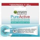 Garnier Pure Active topical care against imperfections 10 ml