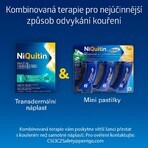 Niquitine mini 4mg tabletten 3 x 20 tabletten