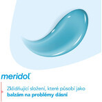 Dentifricio Meridol Protezione Gengive & Bianco Delicato 3 x 75 ml