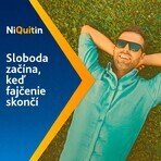 Niquitin Mini 4mg 60 pillole