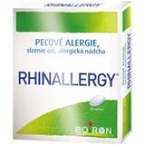 Boiron Rhinallergy 60 compresse