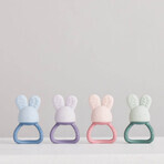 B. box Cooling Teether Rabbit - rose