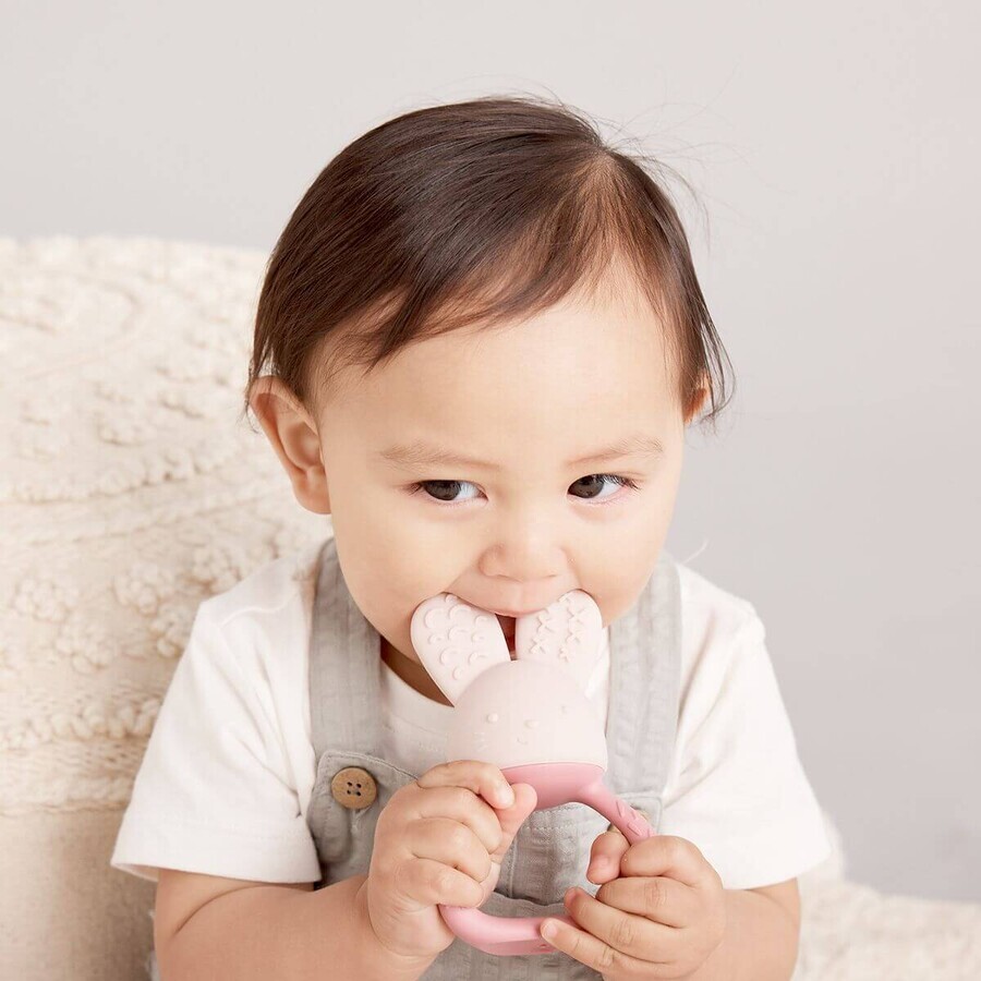 B. box Cooling Teether Rabbit - rose