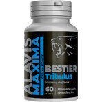 Alavis Maxima Bestier Tribulus 60 capsule