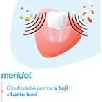 Meridol Complete Care dentifricio per denti e gengive sensibili 75 ml