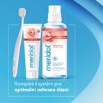 Meridol Complete Care dentifricio per denti e gengive sensibili 75 ml