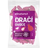 Allnature Frutto del drago liofilizzato 20 g